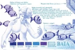 Aurora 88 Il Viaggio Segreto In Italia 'Baia' Vulpen -Pen Winkel 888 VNA F205