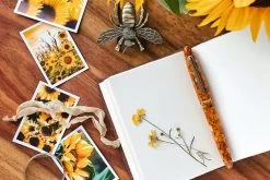 Esterbrook Estie Honeycomb GT Vulpen -Pen Winkel Esterbrook Estie Regular Honeycomb GT FP 4